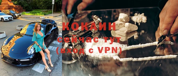 спиды Богданович