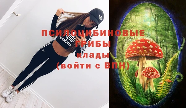 прущая мука Богородск