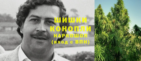 прущая мука Богородск