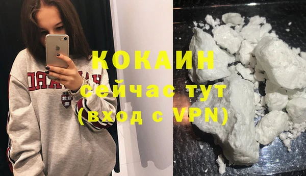 mdpv Бородино