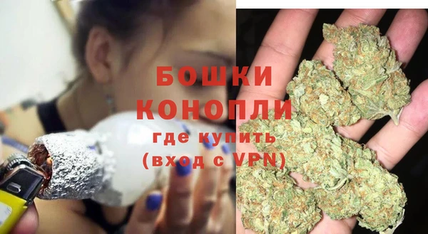 спиды Богданович