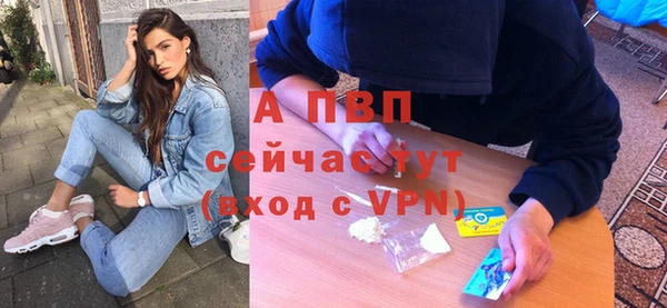 спиды Богданович