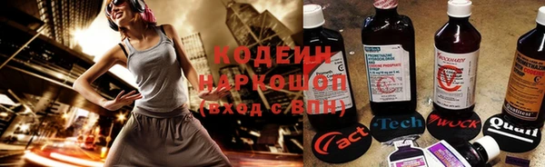 mdpv Бородино