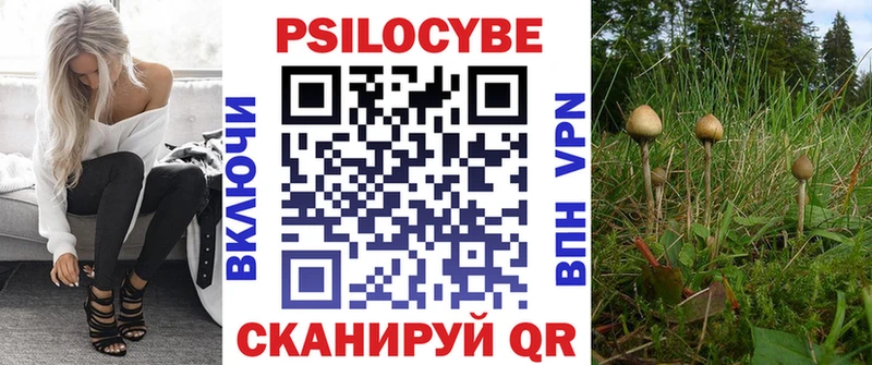 Галлюциногенные грибы Psilocybe  Менделеевск 